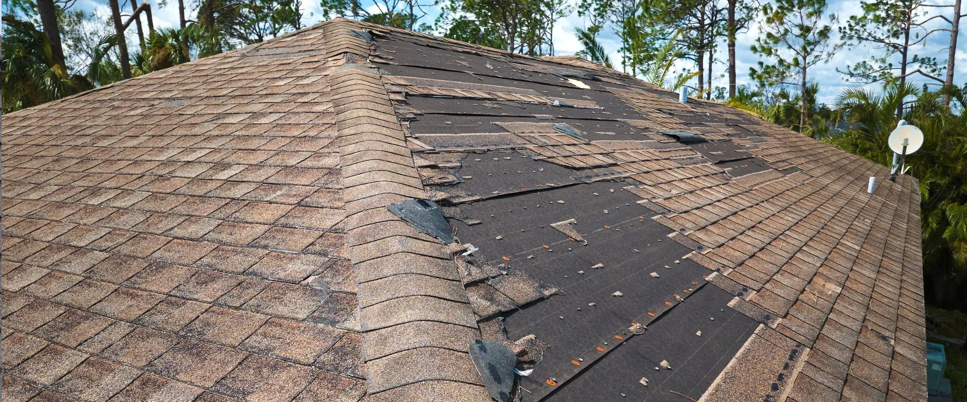 Storm Damage services